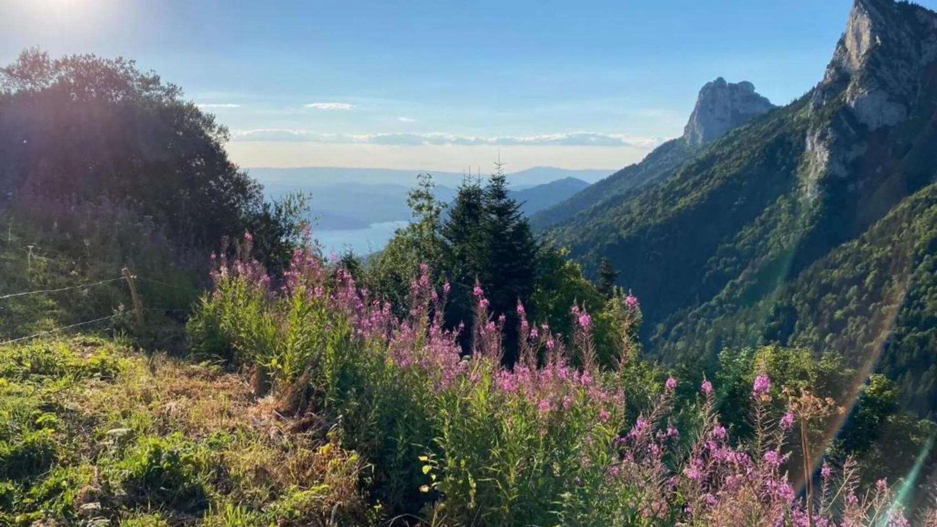 Holiday Home In Haute-Savoie Near Lake Annecy ジエ アパート